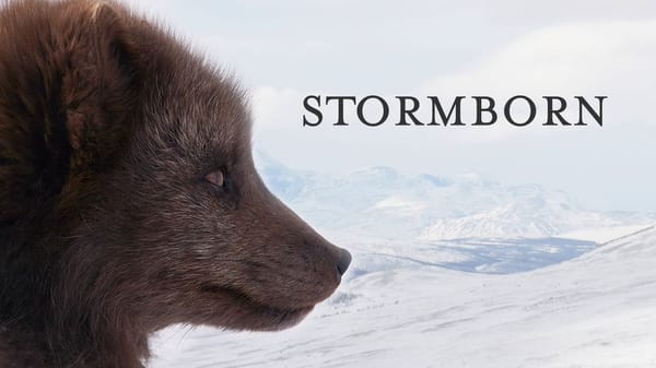Stormfødt