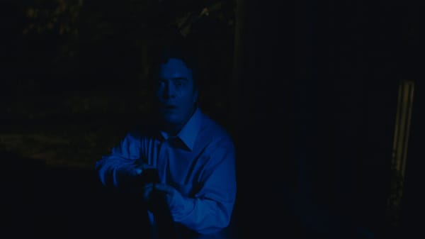 Blue Ruin
